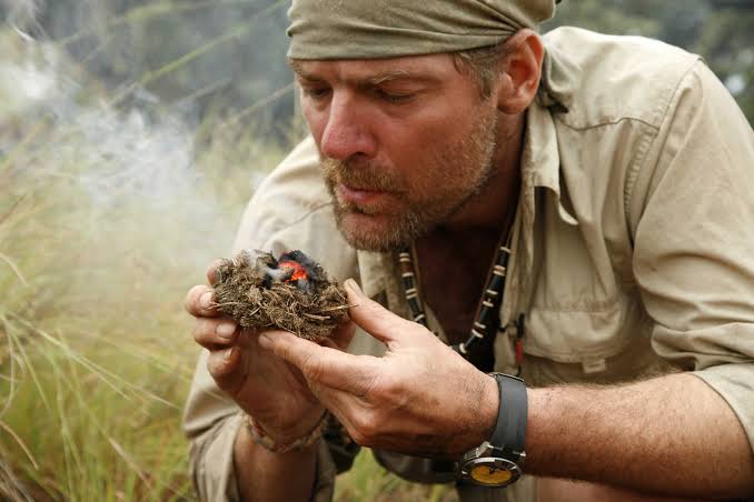 Survivorman' Les Stroud Seeking Co-Host | GearJunkie