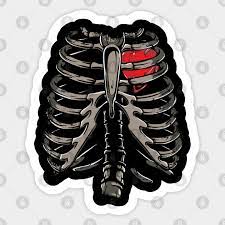 We cover the different bones that make up the rib cage and. X Ray Skeleton Rib Cage Gothic Halloween Costume Gift Skeleton Rib Cage Aufkleber Teepublic De