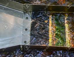 Gold prospecting cheap and easy diy! Sluice Box For Gold Mining Up Close Of Sluice With Water Stream Stock Photo Picture And Royalty Free Image Image 85481416
