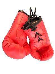 We have taken the care to include only the information that will boxing gloves are now so many in the market that it may be difficult for the beginner to select the. Boxing Gloves 4 Mini Boxing Gloves Sponsored Paid Affiliate Mini Gloves Boxing Boxing Gloves Gloves Champs