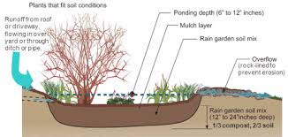 Rain Garden Design And Construction Rain Garden Rain Garden Design Garden Soil Mix