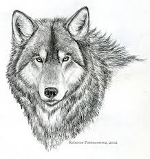 Learning how to draw animals is also about getting the animal's personality right. Easy Pencil Shading Drawings Of Animals Pencildrawing2019