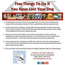 Create your free flyer from our software partners helping lost pets and pet fbi. Report A Lost Dog Lost Dogs Of Wisconsin