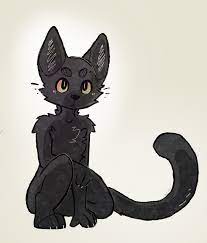 just a black cat : rfurry