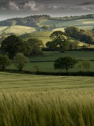 The Rolling Hills Of Devon England Travel Landscape Landscape Photography Nature