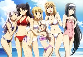 Wallpaper : Fate Stay Night, Carnival Phantasm, Arcueid Brunestud, Caren  Hortensia, Illyasviel von Einzbern, Saber, Tohno Akiha, Tohsaka Rin,  bikini, anime girls 2900x2000 - takelot - 1382399 - HD Wallpapers - WallHere