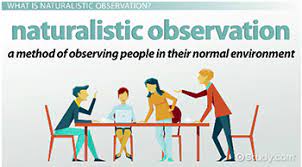Naturalistic Observation In Psychology Definition Examples Video Lesson Transcript Study Com
