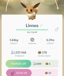 Wie Man Leafeon Glaceon In Pokemon Go Bekommt Die Spiele Filme Tv Die Sie Lieben Eevee can be rare, but you'll probably be able to attract some by using lures. wie man leafeon glaceon in pokemon go