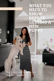 Check spelling or type a new query. What You Need To Know Before Getting A Puppy