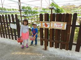 It is one of the stop not to miss before you going uphill to resort world genting from karak highway. Goodyfoodies Genting Strawberry Leisure Farm Gohtong Jaya Genting Highlands