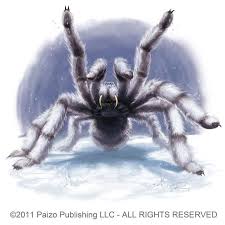 Snow Spider By Akeiron On Deviantart Spider Art Fantasy Creatures Fantasy Monster