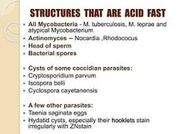 Mycobacteriology 2016 | Ppt