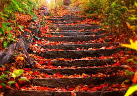 Trianon minden magyarnak fáj, de vajon hányan ismerik az 1920 előtti. 6 Csodaszep Oszi Hatterkep A Gepedre Toltsd Le Oket Most Nagy Felbontasban Ingyen Terasz Femina