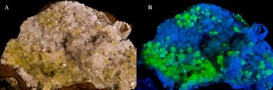 Résultat de recherche d'images pour "image de l'adamite fluorescente"
