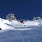 Cardiovascular Conference at Snowbird event image