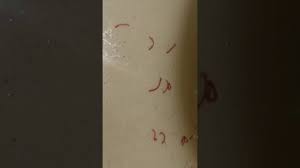 Ridding the toilet bowl of bacteria requires that you kill as much of it as possible. Red Worms In Toilet Bowl Youtube
