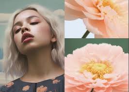 June Summer Aesthetic 01 Greeting Card