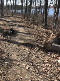 Beach at the campground in pretty much gravel. Seven Lakes State Park Holly 2021 All You Need To Know Before You Go With Photos Tripadvisor