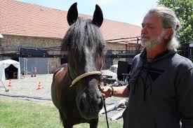 Bu filmi aşağıdaki seçenekleri işaretleyerek kategorize edebilirsin. Ostwind Der Grosse Orkan 2021 Photo Gallery Imdb