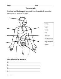 Human body and organs anatomy diagram cool huge large giant poster art 36x54. Label The Human Body Human Body Worksheets Human Body Organs Free Human Body