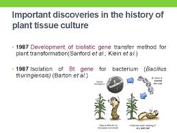 We did not find results for: History Of Plant Tissue Culture Cell Tissue Culture