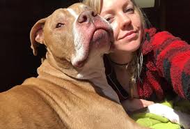 How to find a rental house in Cookeville, Tennessee that accepts pitbulls?