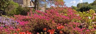 Check spelling or type a new query. Best Gardens In Scotland National Trust For Scotland