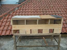 Para pecinta burung setia dengan hobi mereka tentu akan tapi tahukah bahwa sejatinya sangkar burung itu cukup sederhana dan mudah dibuat sendiri apabila anda mau sedikit belajar dan berusaha keras. Rumah Burung Dara