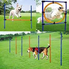 Latest dog agility equipment australia reviews. Melktemn Dog Agility Set Dog Agility Equipment With Dog Agility Hurdle Weave Poles Dog Agility Jump Canine Agility Set For Dog Training Obedience Rehabilitation With Carrying Bag Amazon Com Au Pet