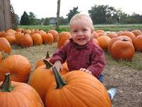 Baby’s First Pumpkin: Barnyard Fun Adventures