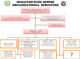 organizational structure masaplod elementary school