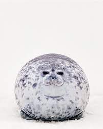 Our Planet Daily On Instagram Omg These Cute Seal Pillows Are Amazing Get Yours Today Link In Anmlworldco S Bio Www Anmlworld Com Seal Pillow Plusch