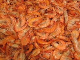 Antipasti, primi e secondi piatti gustosi e di grande abbiamo scelto per voi ricette con diversi tipi di cottura e le abbiamosuddivise per portata. Penaeus Kerathurus Wikipedia