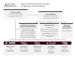 organizational chart agrilife org root 2019 root copy