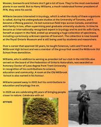 Image result for Antrophyum mannianum