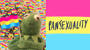O que é ser pansexual, então? Maxima Voce Sabe O Que E Pansexualidade Entenda Mais Sobre Um Dos Assuntos Mais Comentados Do Dia