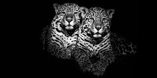 We did not find results for: The Spouse Factor