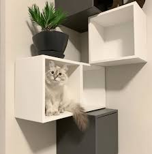 We did not find results for: 25 Best Ikea Furniture Hacks For Your Cat Shelterness