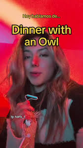 Have A Dinner with An Owl
