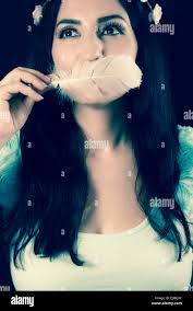 Brown white feather hi-res stock photography and images