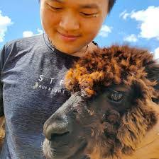 Richard Mustard's Instagram, Twitter & Facebook