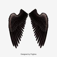 Black And White Wings Roblox Pin Em Papel De Parede Celular