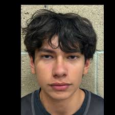 Diego Zavala's Stat Leader Rankings