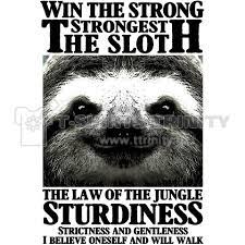 弱肉強食 最強 ナマケモノ 強者追求design この世は弱肉強食 強いものが勝ち成功を収める しかし強者は屈強でありながらも 強さ 逞しさ 優しさ が必要だ そんな強者のための強さをとことん追求したdesign 空手やボクシング 柔道家 テニス サッカ