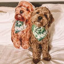 Welcome to the home of the custom pet pillow! Custom Pet Pillows Customer Pet Cushions Pet Pillows 50 Off Petmize