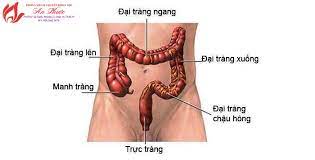 Thời trang, video ngôi sao, phim ảnh, tình yêu, học đường, các chuyển động xã phía hana giang anh nói gì trước thông tin bất chấp lệnh giãn cách, tụ tập đông người và không một bé gái 13 tháng tuổi tên kiki được đưa đến cấp cứu tại bệnh viện nhi đồng yuying trực thuộc đại. Ná»™i Soi Trá»±c Trang La Gi Phong Kham An PhÆ°á»›c