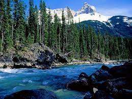 Mountain Stream Lakes Snow Water Streams Rivers Trees 1080p River Wallpaper Landscape Trees Mountain Stream Landscape