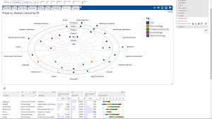 Bullseye Charts With Enrich Analytics