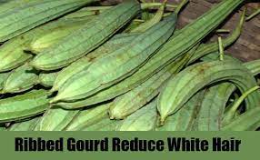 Ridge gourd can be grown through the year and are used as vegetables. Ribbed Gourd For White Hair Stylesgap Com