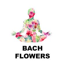 Legacy.com enhances online obituaries with guest books, funeral home information, and florist links. Bach Flowers For Enuresis Bed Wetting Free Webinar Sign Up Today